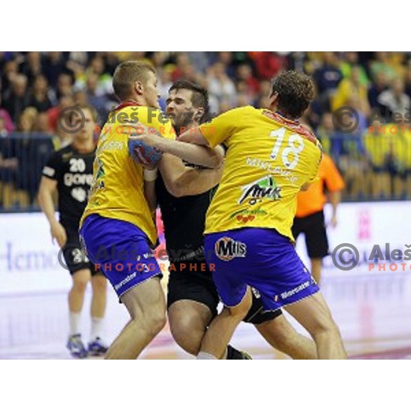 of Celje PL in action during handball match Celje PL-Gorenje Velenje in round 11 of 1.NLB leasing league, played in Zlatorog Hall, Celje, Slovenia on November 19, 2014