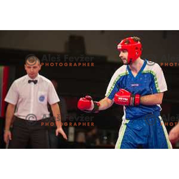 Amir Sinanbegovic of Slovenia fights against Kriztan Jarozkievicz of Hungary during Kickbox European championship, Maribor, Tabor Hall, 21.11.2014