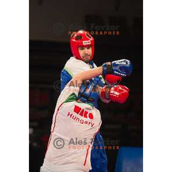 Amir Sinanbegovic of Slovenia fights against Kriztan Jarozkievicz of Hungary during Kickbox European championship, Maribor, Tabor Hall, 21.11.2014