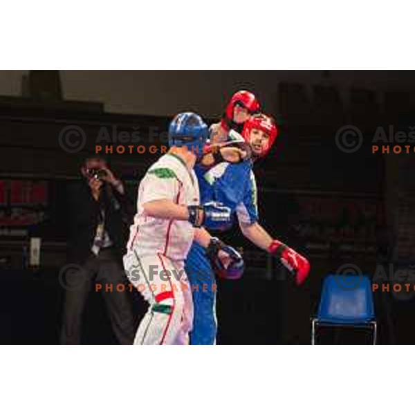 Amir Sinanbegovic of Slovenia fights against Kriztan Jarozkievicz of Hungary during Kickbox European championship, Maribor, Tabor Hall, 21.11.2014