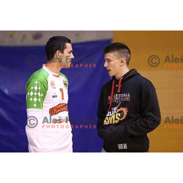 Injured Marko Antonijevic and Matic Rebec at basketball match Grosbasket-Helios Suns in Telemach league, Grosuplje, Slovenia on November 22,2014