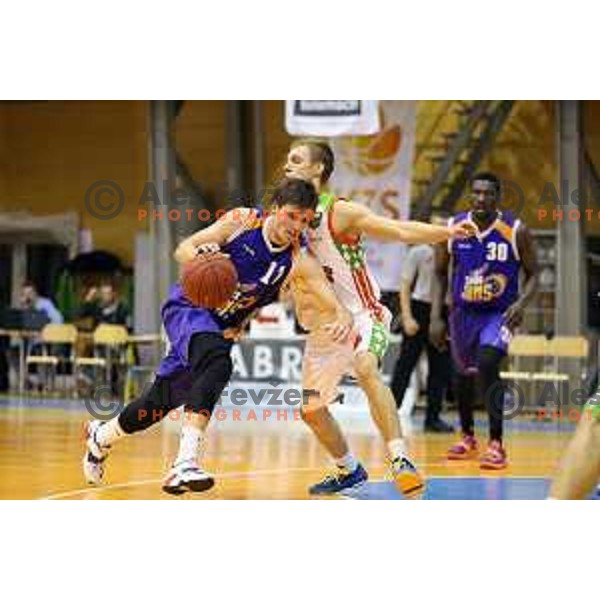 Aljaz Korosec and Zan Jerman at basketball match Grosbasket-Helios Suns in Telemach league, Grosuplje, Slovenia on November 22,2014