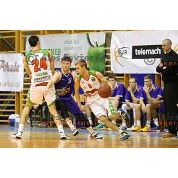 Aljaz Korosec and Zan Jerman at basketball match Grosbasket-Helios Suns in Telemach league, Grosuplje, Slovenia on November 22,2014