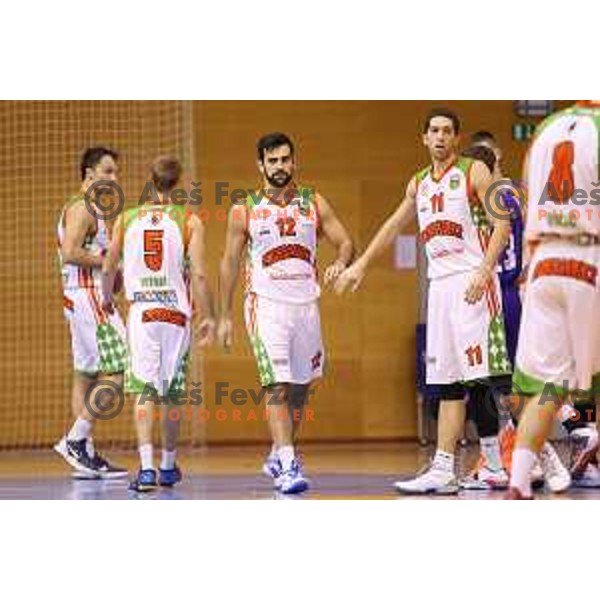 Mensud Julevic and Matija Trampus at basketball match Grosbasket-Helios Suns in Telemach league, Grosuplje, Slovenia on November 22,2014