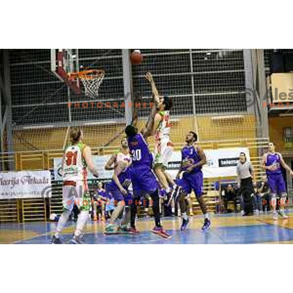 Miha Fon at basketball match Grosbasket-Helios Suns in Telemach league, Grosuplje, Slovenia on November 22,2014