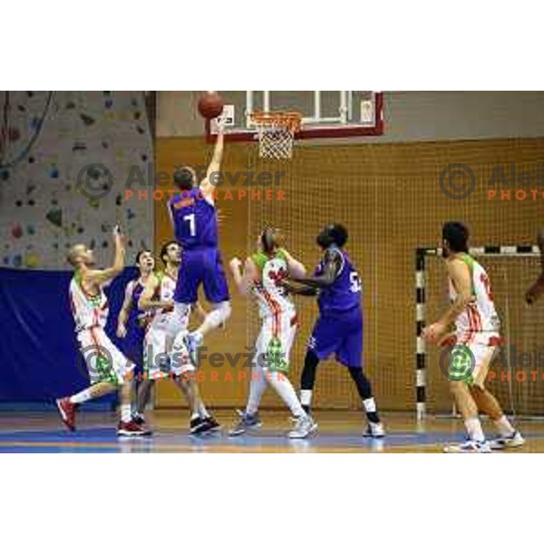Dejan Mlakar at basketball match Grosbasket-Helios Suns in Telemach league, Grosuplje, Slovenia on November 22,2014