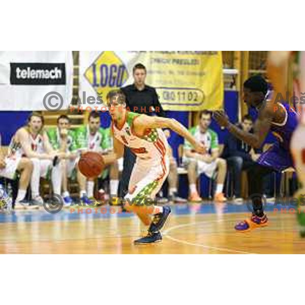  Zan Jerman at basketball match Grosbasket-Helios Suns in Telemach league, Grosuplje, Slovenia on November 22,2014
