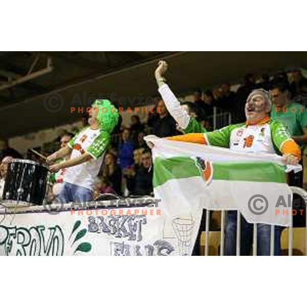 Perovo fans at basketball match Grosbasket-Helios Suns in Telemach league, Grosuplje, Slovenia on November 22,2014