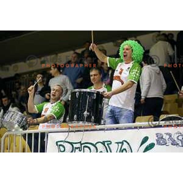 Perovo fans at basketball match Grosbasket-Helios Suns in Telemach league, Grosuplje, Slovenia on November 22,2014
