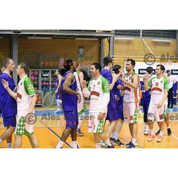 Marko antonijevic, Zeljko Zagorac at basketball match Grosbasket-Helios Suns in Telemach league, Grosuplje, Slovenia on November 22,2014