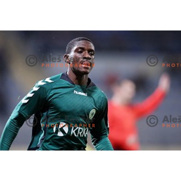 Nana Welbeck of Krka celebrates goal during football match Kalcer Radomlje-Rudar Krka in round 16 of Prva liga Telekom Slovenije, played in Domzale Sports Park, Slovenia on November 23, 2014