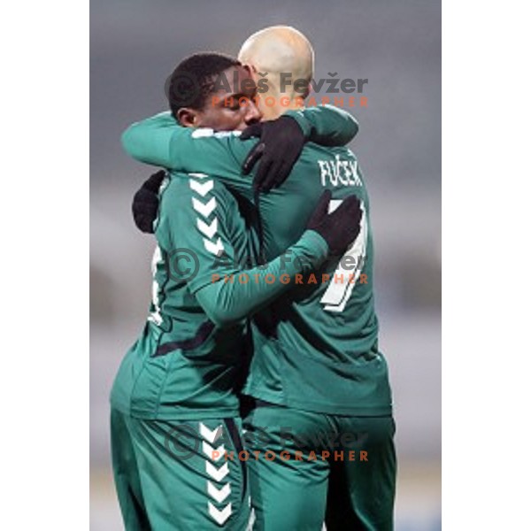 Nana Welbeck of Krka celebrates goal during football match Kalcer Radomlje-Rudar Krka in round 16 of Prva liga Telekom Slovenije, played in Domzale Sports Park, Slovenia on November 23, 2014