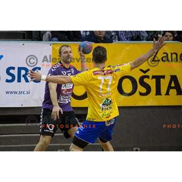 Nejc Zmavc in action during handball match Maribor Branik - Celje pivovarna Lasko, Maribor 3.12.2014, Tabor Hall