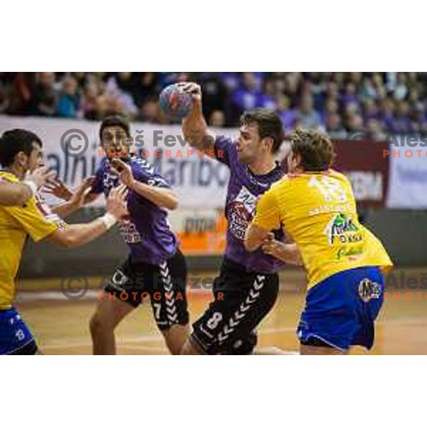 Ante Kaleb, Nikola Spelic in action during handball match Maribor Branik - Celje pivovarna Lasko, Maribor 3.12.2014, Tabor Hall