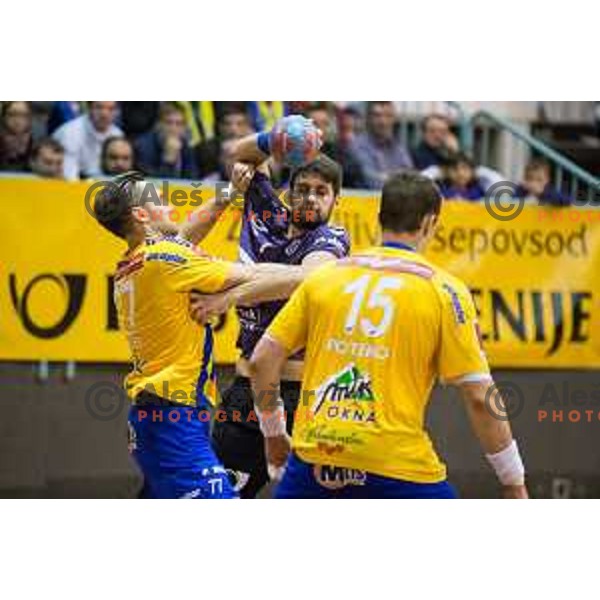 in action during handball match Maribor Branik - Celje pivovarna Lasko, Maribor 3.12.2014, Tabor Hall