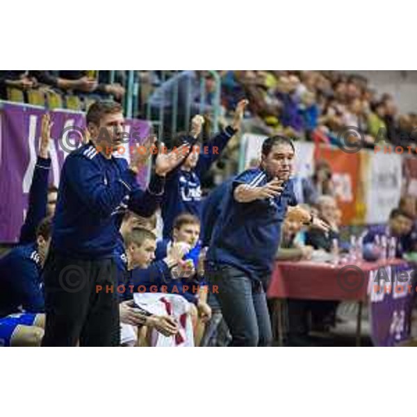 Branko Tamse in action during handball match Maribor Branik - Celje pivovarna Lasko, Maribor 3.12.2014, Tabor Hall