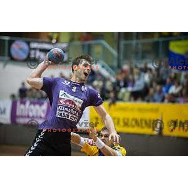 Nikola Spelic in action during handball match Maribor Branik - Celje pivovarna Lasko, Maribor 3.12.2014, Tabor Hall