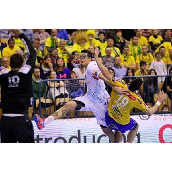 in action during handball match Celje Pivovarna Lasko-Montpellier in EHF Men\'s Champions League, played in Zlatorog Hall, Celje, Slovenia on December 6,2014