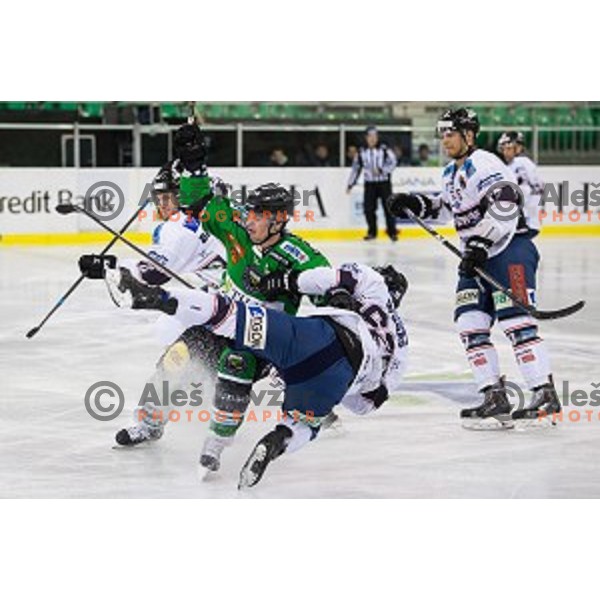 Ales Music of Olimpijain action during ice hockey match of 27th round of EBEL League in Season 2014/15 between HDD Telemach Olimpija and SAPA Fehervar AV 19, played in Tivoli Hall, Ljubljana, Slovenia, on December 14, 2014