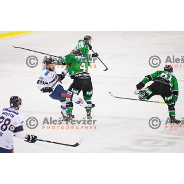 Andrew Sarauer of SAPA Fehervar and Igor Cvetek of Olimpija in action during ice hockey match of 27th round of EBEL League in Season 2014/15 between HDD Telemach Olimpija and SAPA Fehervar AV 19, played in Tivoli Hall, Ljubljana, Slovenia, on December 14, 2014