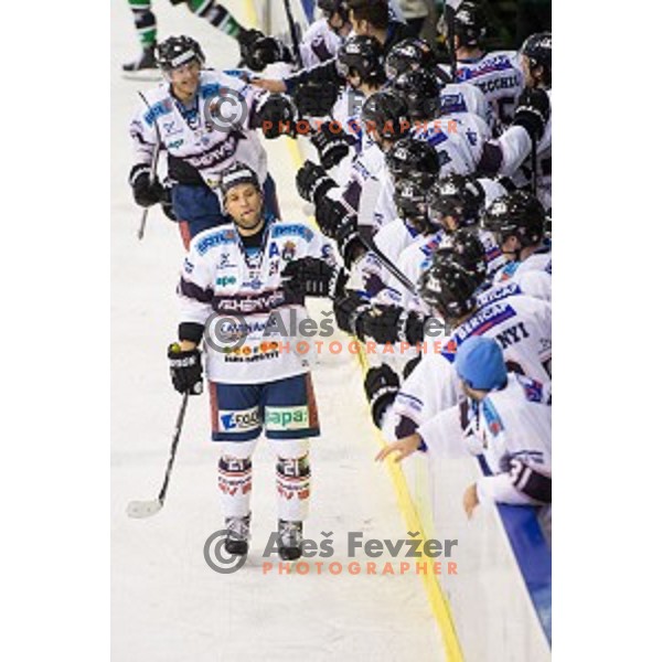 Team SAPA Fehervar during ice hockey match of 27th round of EBEL League in Season 2014/15 between HDD Telemach Olimpija and SAPA Fehervar AV 19, played in Tivoli Hall, Ljubljana, Slovenia, on December 14, 2014