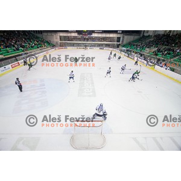 During ice hockey match of 27th round of EBEL League in Season 2014/15 between HDD Telemach Olimpija and SAPA Fehervar AV 19, played in Tivoli Hall, Ljubljana, Slovenia, on December 14, 2014