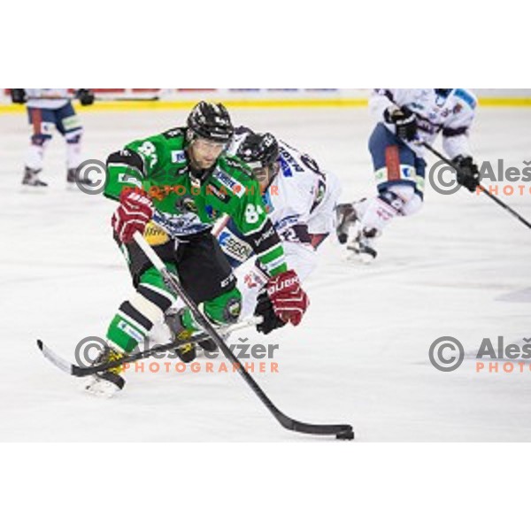 Andrej Hebar of Olimpija in action during ice hockey match of 27th round of EBEL League in Season 2014/15 between HDD Telemach Olimpija and SAPA Fehervar AV 19, played in Tivoli Hall, Ljubljana, Slovenia, on December 14, 2014