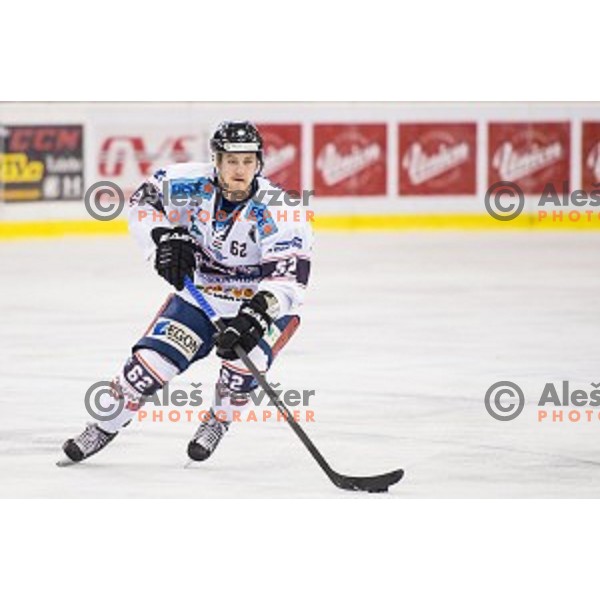 During ice hockey match of 27th round of EBEL League in Season 2014/15 between HDD Telemach Olimpija and SAPA Fehervar AV 19, played in Tivoli Hall, Ljubljana, Slovenia, on December 14, 2014