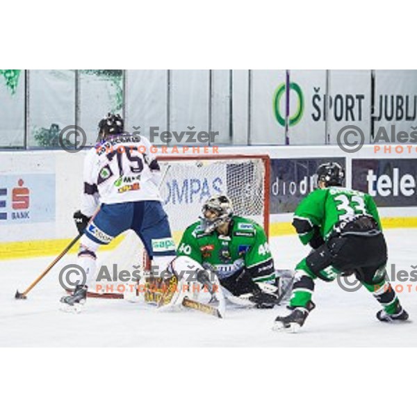 Jeff LoVecchio of SAPA Fehervar and Andy Chiodo of Olimpija in action during ice hockey match of 27th round of EBEL League in Season 2014/15 between HDD Telemach Olimpija and SAPA Fehervar AV 19, played in Tivoli Hall, Ljubljana, Slovenia, on December 14, 2014