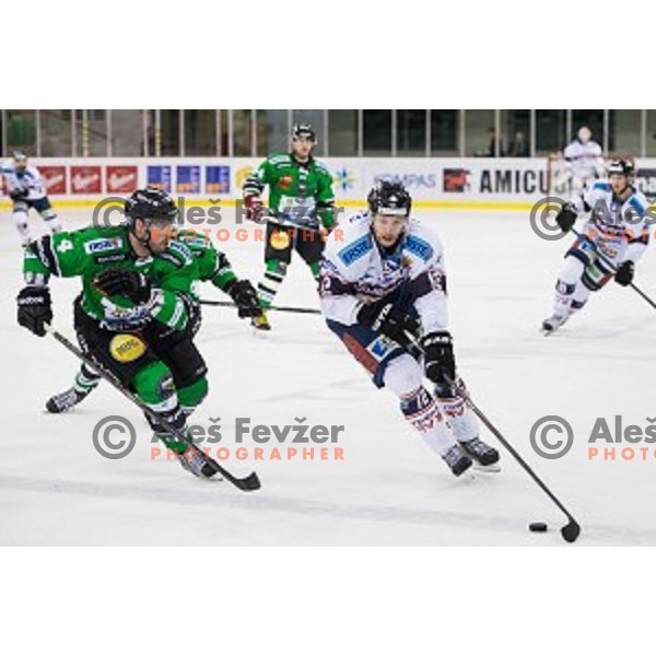 Igor Cvetek of Olimpija and Benk Andras of SAPA Fehervar in action during ice hockey match of 27th round of EBEL League in Season 2014/15 between HDD Telemach Olimpija and SAPA Fehervar AV 19, played in Tivoli Hall, Ljubljana, Slovenia, on December 14, 2014