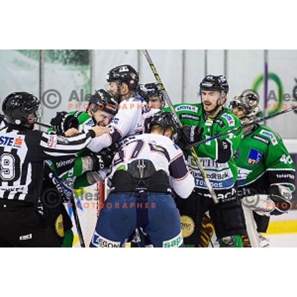 Action during ice hockey match of 27th round of EBEL League in Season 2014/15 between HDD Telemach Olimpija and SAPA Fehervar AV 19, played in Tivoli Hall, Ljubljana, Slovenia, on December 14, 2014