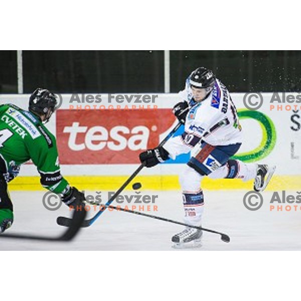 Bartalis Istvan of SAPA Fehervar in action during ice hockey match of 27th round of EBEL League in Season 2014/15 between HDD Telemach Olimpija and SAPA Fehervar AV 19, played in Tivoli Hall, Ljubljana, Slovenia, on December 14, 2014