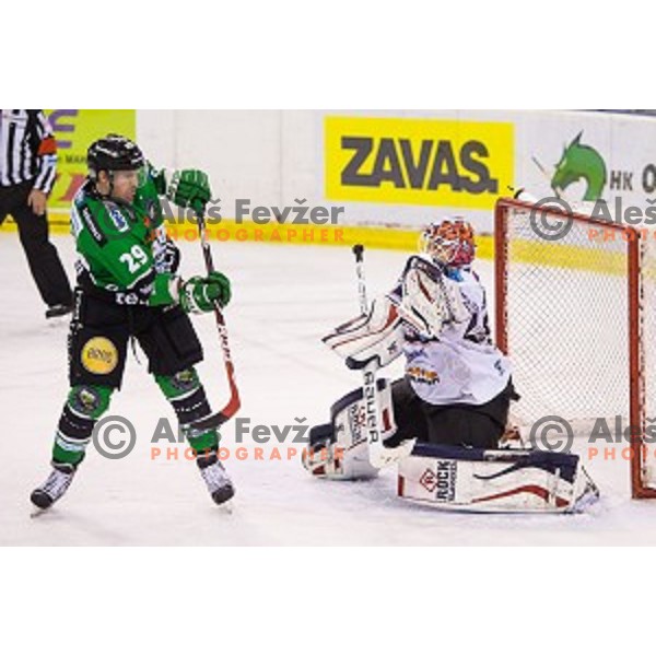 Anze Ropret of Olimpija in action during ice hockey match of 27th round of EBEL League in Season 2014/15 between HDD Telemach Olimpija and SAPA Fehervar AV 19, played in Tivoli Hall, Ljubljana, Slovenia, on December 14, 2014