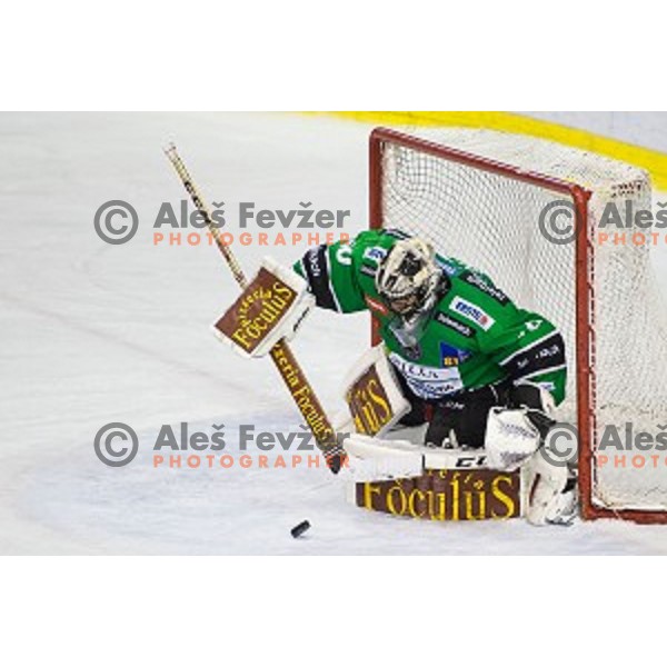 Andy Chiodo of Olimpija in action during ice hockey match of 27th round of EBEL League in Season 2014/15 between HDD Telemach Olimpija and SAPA Fehervar AV 19, played in Tivoli Hall, Ljubljana, Slovenia, on December 14, 2014