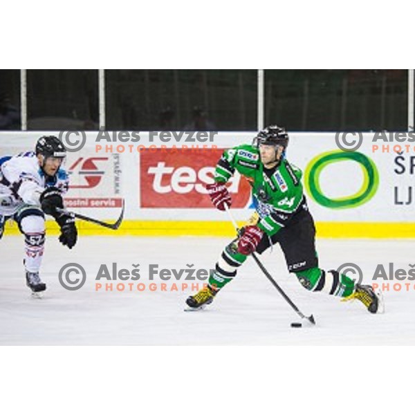 Andrej Hebar of Olimpija in action during ice hockey match of 27th round of EBEL League in Season 2014/15 between HDD Telemach Olimpija and SAPA Fehervar AV 19, played in Tivoli Hall, Ljubljana, Slovenia, on December 14, 2014