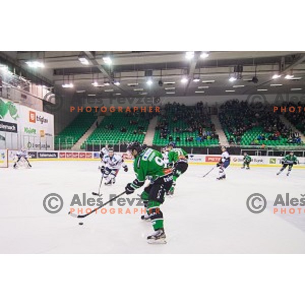 Action during ice hockey match of 27th round of EBEL League in Season 2014/15 between HDD Telemach Olimpija and SAPA Fehervar AV 19, played in Tivoli Hall, Ljubljana, Slovenia, on December 14, 2014