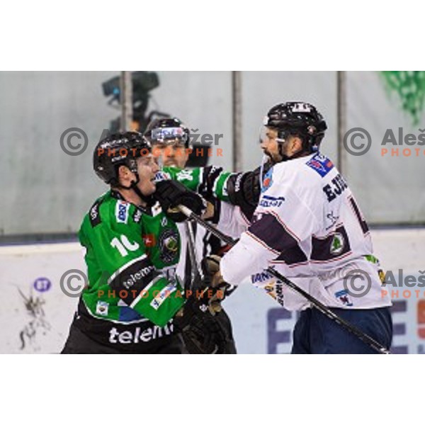 Tom Zanoski of Olimpija in action during ice hockey match of 27th round of EBEL League in Season 2014/15 between HDD Telemach Olimpija and SAPA Fehervar AV 19, played in Tivoli Hall, Ljubljana, Slovenia, on December 14, 2014