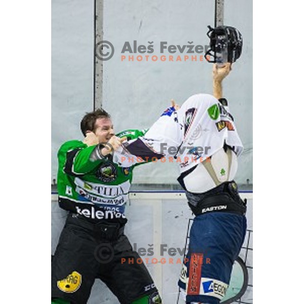 Tom Zanoski of Olimpija in action during ice hockey match of 27th round of EBEL League in Season 2014/15 between HDD Telemach Olimpija and SAPA Fehervar AV 19, played in Tivoli Hall, Ljubljana, Slovenia, on December 14, 2014