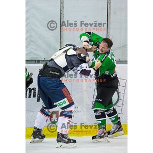 Tom Zanoski of Olimpija in action during ice hockey match of 27th round of EBEL League in Season 2014/15 between HDD Telemach Olimpija and SAPA Fehervar AV 19, played in Tivoli Hall, Ljubljana, Slovenia, on December 14, 2014