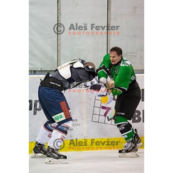 Tom Zanoski of Olimpija in action during ice hockey match of 27th round of EBEL League in Season 2014/15 between HDD Telemach Olimpija and SAPA Fehervar AV 19, played in Tivoli Hall, Ljubljana, Slovenia, on December 14, 2014