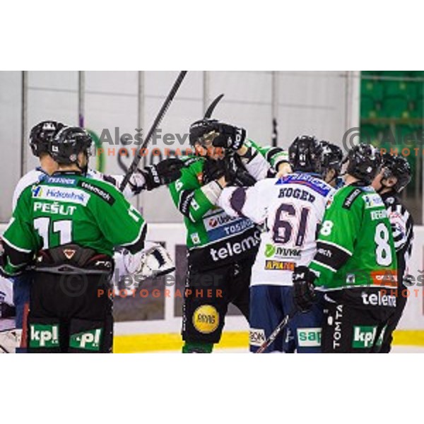 Action during ice hockey match of 27th round of EBEL League in Season 2014/15 between HDD Telemach Olimpija and SAPA Fehervar AV 19, played in Tivoli Hall, Ljubljana, Slovenia, on December 14, 2014