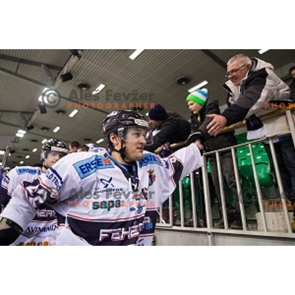 After ice hockey match of 27th round of EBEL League in Season 2014/15 between HDD Telemach Olimpija and SAPA Fehervar AV 19, played in Tivoli Hall, Ljubljana, Slovenia, on December 14, 2014