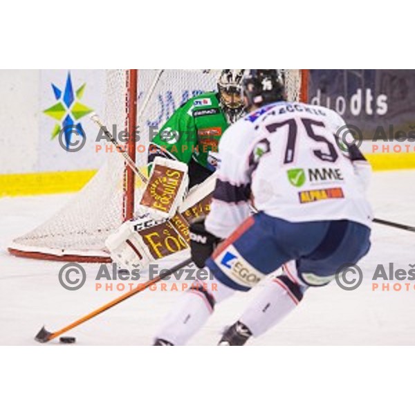 Andy Chiodo of Olimpija during ice hockey match of 27th round of EBEL League in Season 2014/15 between HDD Telemach Olimpija and SAPA Fehervar AV 19, played in Tivoli Hall, Ljubljana, Slovenia, on December 14, 2014