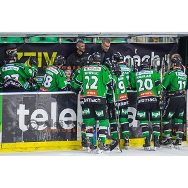 Team Olimpija during ice hockey match of 27th round of EBEL League in Season 2014/15 between HDD Telemach Olimpija and SAPA Fehervar AV 19, played in Tivoli Hall, Ljubljana, Slovenia, on December 14, 2014