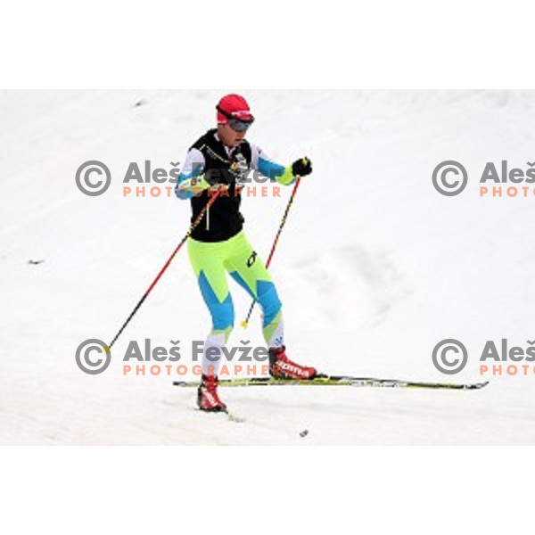 Teja Gregorin during official training before first event of EBU Biathlon World Cup at Pokljuka, Slovenia on December 17, 2014
