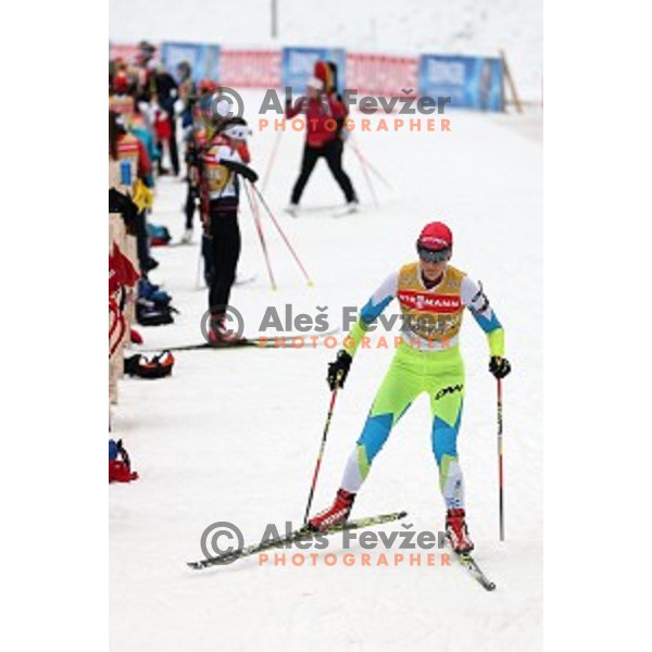 Teja Gregorin during official training before first event of EBU Biathlon World Cup at Pokljuka, Slovenia on December 17, 2014