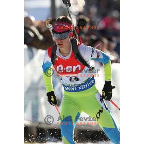Teja Gregorin of Slovenia during BMW IBU World Cup Biathlon women 7.5 km sprint at Pokljuka,Slovenia on December 18, 2014
