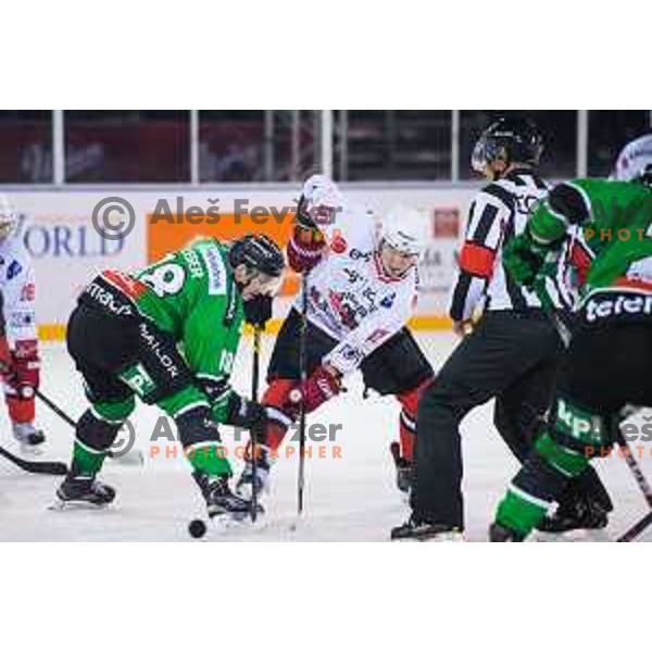 Rok Leber of Olimpija and Saso Rajsar of Jesenice in action during ice hockey match of Ice Fest HDD Telemach Olimpija vs. SIJ Acroni Jesenice, played in Trg Republike, Ljubljana, Slovenia, on December 18, 2014