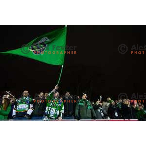 Fns during ice hockey match of Ice Fest HDD Telemach Olimpija vs. SIJ Acroni Jesenice, played in Trg Republike, Ljubljana, Slovenia, on December 18, 2014