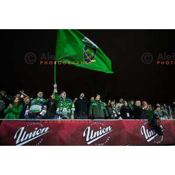 Fans during ice hockey match of Ice Fest HDD Telemach Olimpija vs. SIJ Acroni Jesenice, played in Trg Republike, Ljubljana, Slovenia, on December 18, 2014